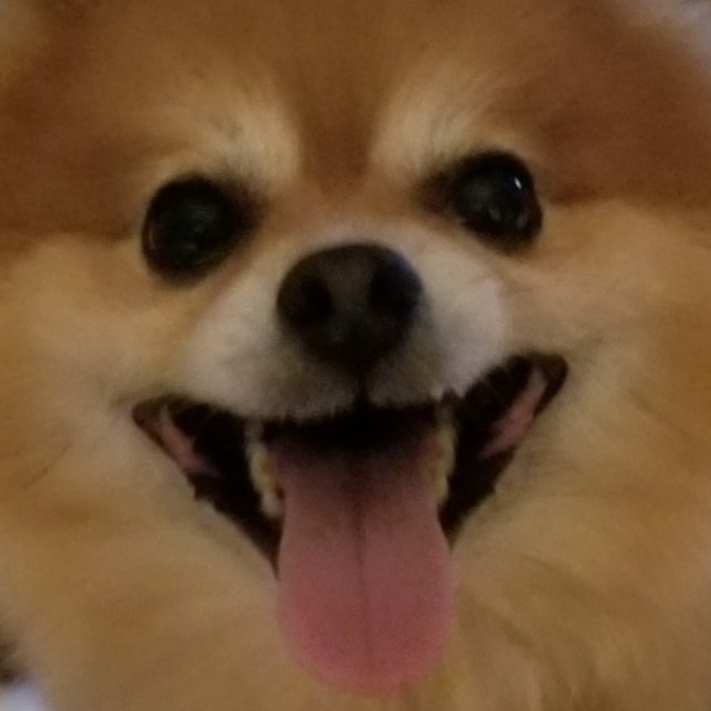 Meet your Posher, Nancy